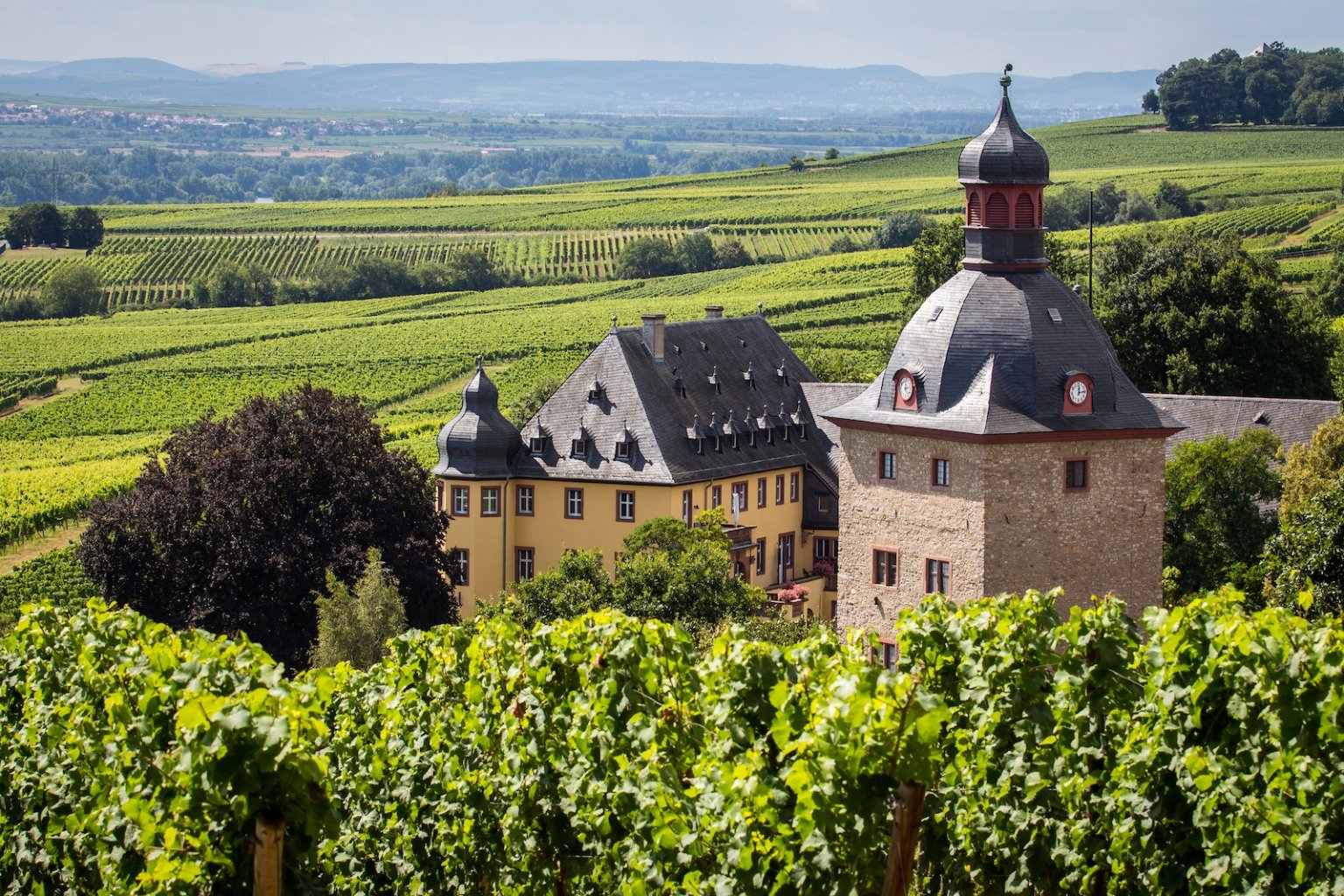 Germany Wine Festivals DMR Travel